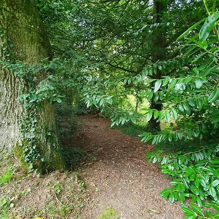 Vakantiehuis Du Hetre Pourpre Clécy