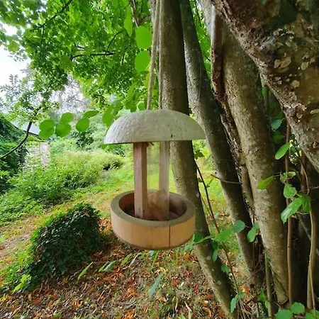 Du Hetre Pourpre Clécy