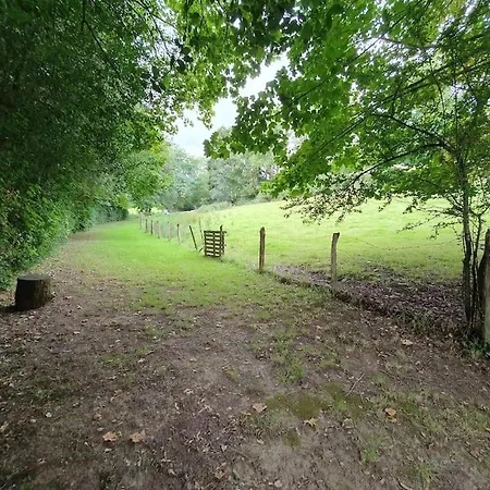 Du Hetre Pourpre Clécy