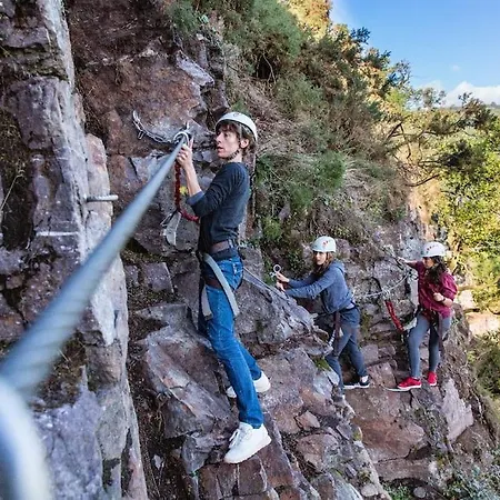 Du Hetre Pourpre Clécy