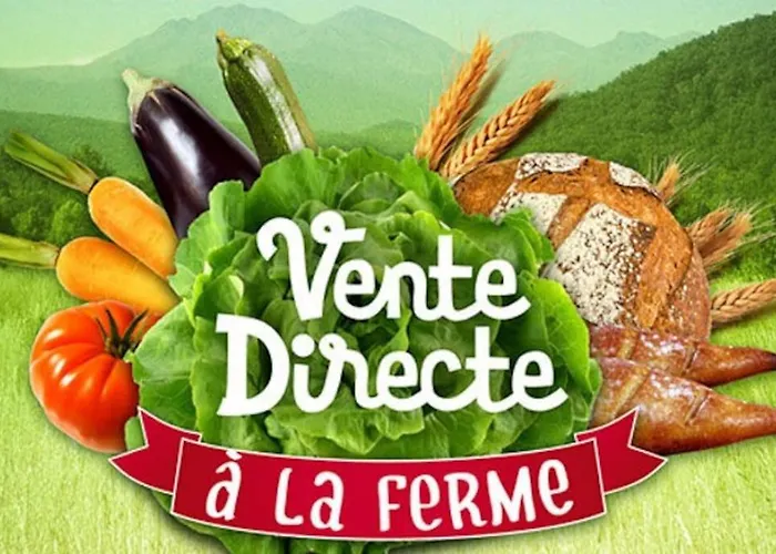 Du Hêtre Pourpre Hébergement de vacances Clécy