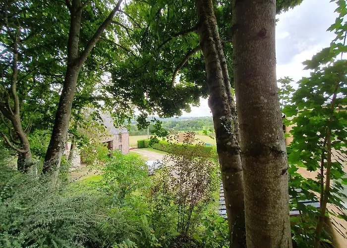 Hébergement de vacances Du Hêtre Pourpre