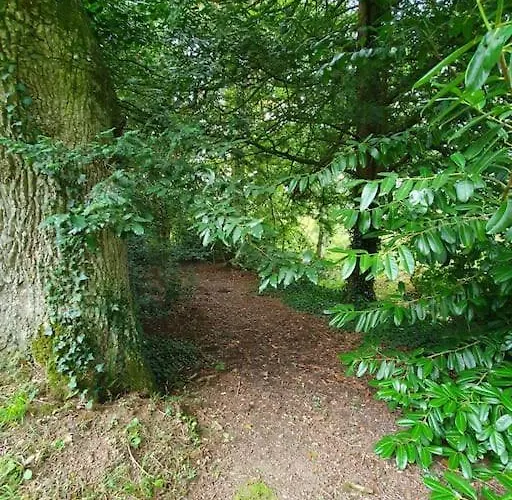 Hébergement de vacances Du Hêtre Pourpre Clécy