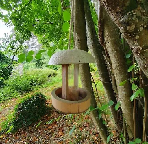 Du Hetre Pourpre Clecy