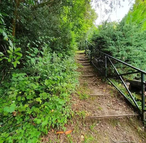 Hébergement de vacances Du Hêtre Pourpre *