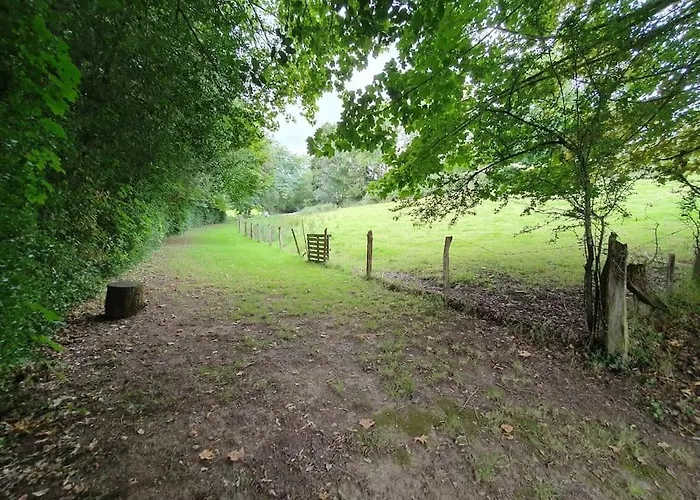 Du Hêtre Pourpre Clécy