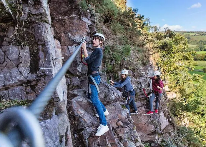 Du Hetre Pourpre Clecy